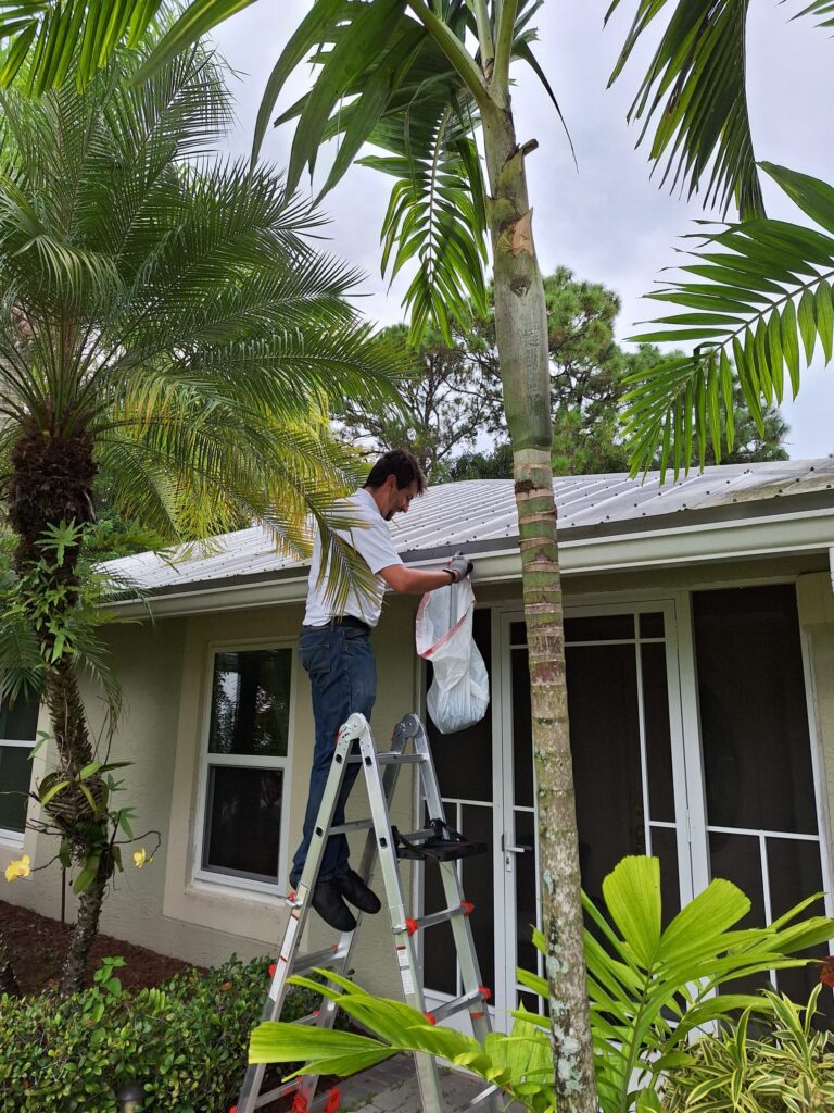 Man cleaning gutters of leaves and pine needles in Jupiter FL