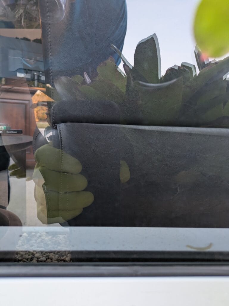 Window after hard water stains treatment In Hobe Sound Florida