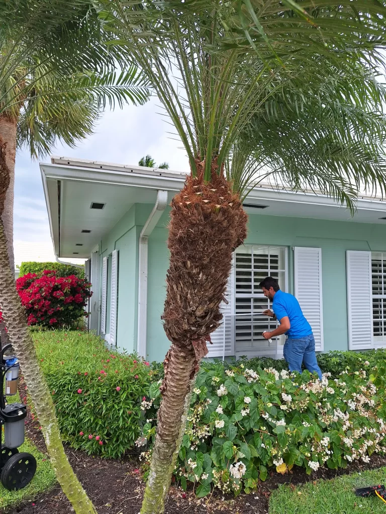 Man window washing near Juno Beach