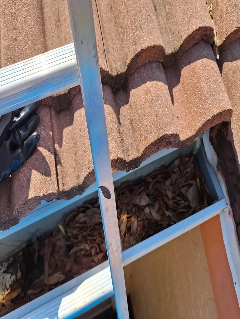 Clogged gutter in North Palm Beach
