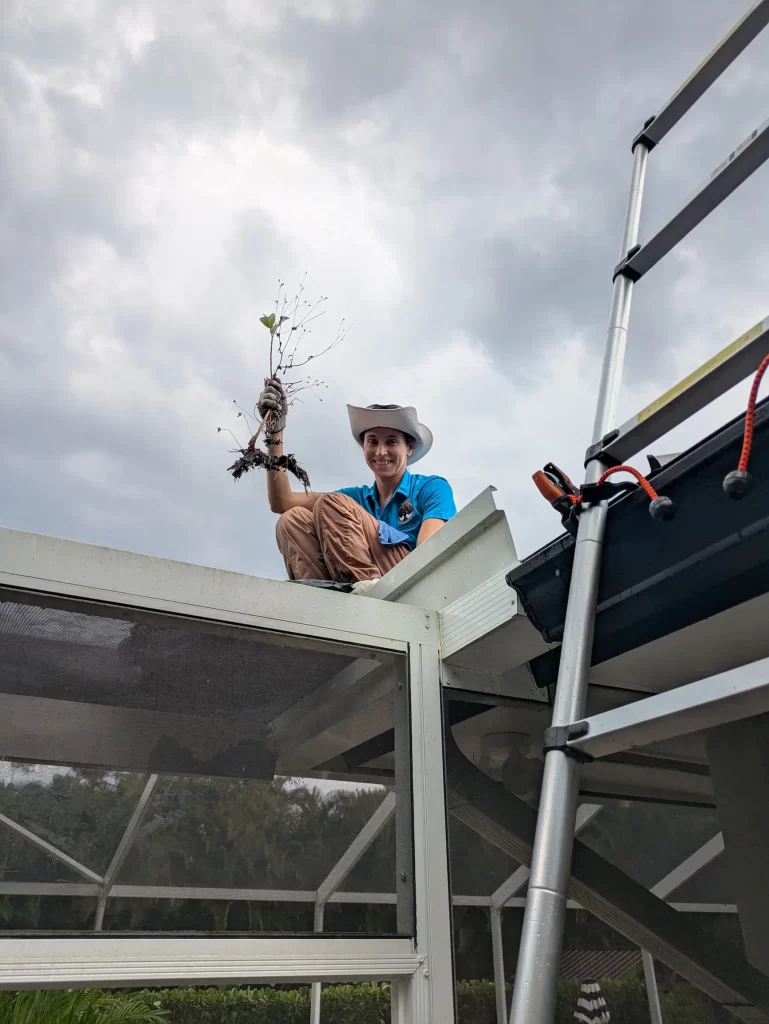 Woman holding a tree in a Juno Beach Gutter